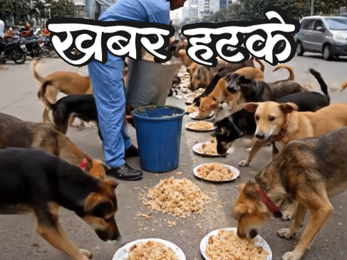 खबर हटके- स्ट्रीट डॉग्स को बिरयानी खिलाएगी सरकार:  19 साल से विश्व युद्ध की तैयारी कर रहा शख्स; जानिए दिनभर की 5 रोचक खबरें