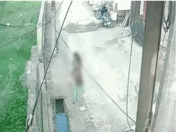 नवजात को डस्टबिन में कचरे के साथ भरकर फेंका:  आवारा कुत्तों ने नोचा; छिंदवाड़ा की घटना का VIDEO आया सामने – Chhindwara News