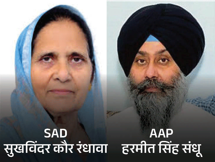 7 राज्यों की 8 सीटों पर विधासभा चुनाव का ऐलान:  11 नवंबर को वोटिंग 14 नवंबर को नतीजे,पंजाब की तरनतारन सीट पर कैंडिडेट तय