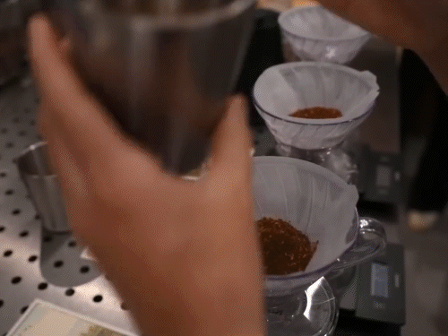 राहुल ने कोलंबिया की कॉफी शॉप का वीडियो शेयर किया:  कहा- वहां कॉफी एक फसल नहीं उनकी पहचान है, भारत के वायनाड-कुर्ग में भी यही संभावना